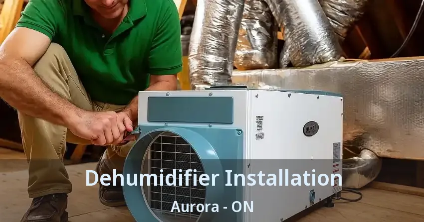 Dehumidifier Installation Aurora - ON