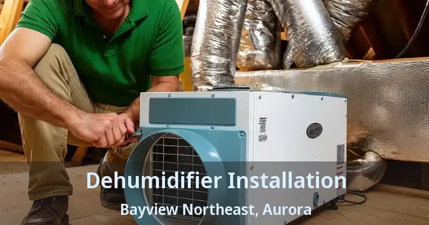 Dehumidifier Installation Bayview Northeast, Aurora - ON